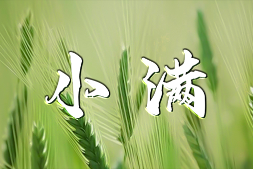 微醺小满：恰到好处的人生境界